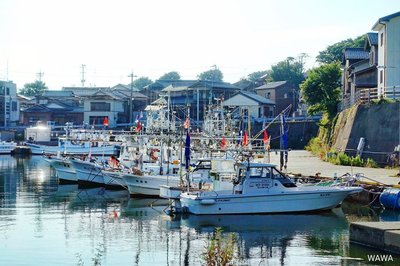 ⚓ 하시다테 어항(하시다테교코) 이미지 2